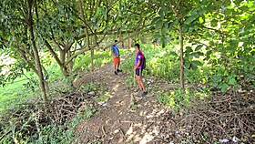 naked orgy on the trail