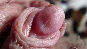 Big clit orgasm closeup homemade amateurs!