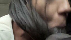 Did I suck the driver's big cock for the ride?