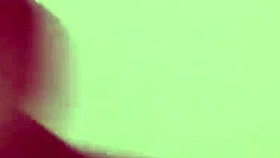 siraell enjoys rough public play