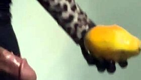 Young Brazilian Solo Artist Fucks Papaya Fruit For First Time
