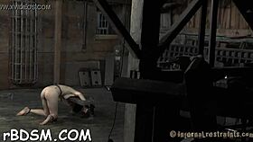 Captivating Brunette Babe Vibrates Her Wet Pussy