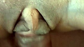 Tight pussy ripped by bbc