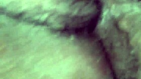 creampying my girlfriend