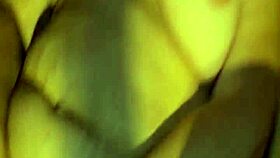 Cumming inside that milf cunt feels so good 😍