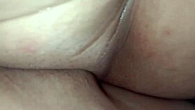 Is This How You Devour the Neighbor's Young Bride?