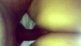 Ebony Redbone Rides Big Black Cock In Reverse Cowgirl