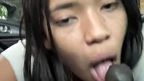 Did I suck the driver's big cock for the ride?