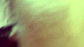 Tight pussy ripped by bbc