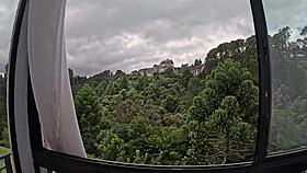 Can Friends Teach You To Use Toys?