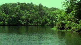 Donnabella says, I'm your sexy bikini babe.