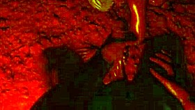 Wild Life - Chapter 1 - Episode 10 - The Island