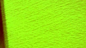 i luv faith delucas rough raw sex