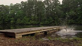 Donnabella says, I'm your sexy bikini babe.