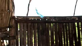 Amateurs engage in rough gangbang in paradise