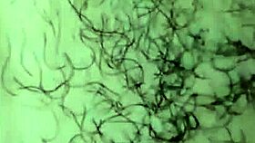 Buceta Peluda Leva Enorme Gozada Brazilian Amateur Scene