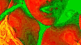 watch bluee moan as her pussy gets licked – isn't she exotic?