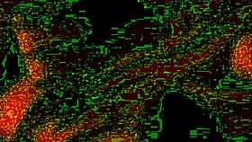 Real Homemade Fucking On Wedding Day