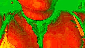 watch bluee moan as her pussy gets licked – isn't she exotic?