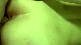 summer is ready for new work