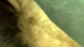 outdoor sex with hairy pussy on car