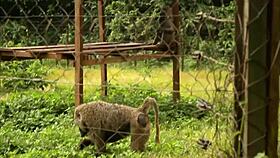 i met these tourists in a park and we explored hidden spots together for unforgettable fun