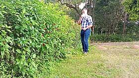 Jardineiro Mega-Dotado Macetando A Pica Grossa Até Gozar