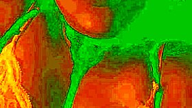 watch bluee moan as her pussy gets licked – isn't she exotic?