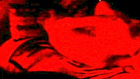 Real Homemade Fucking On Wedding Day