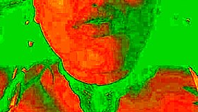 watch bluee moan as her pussy gets licked – isn't she exotic?