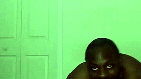 Taking turns stretching like zodiac animals