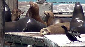 London Keyes Bts Part 2 Stripping Big Tits And Ass