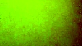 erika getting mounted in doggystyle by mexican amateur 😏