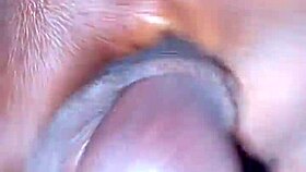 Kingtaiza Official Masturbates With Monster Cock In Homemade Solo Session