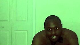 Taking turns stretching like zodiac animals