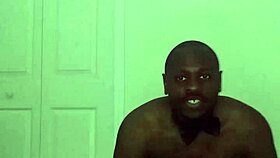 Taking turns stretching like zodiac animals