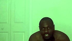 Taking turns stretching like zodiac animals