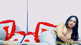 Gorgeous slender shemale dayamhotts