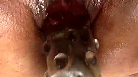 exploring big pussy with toys