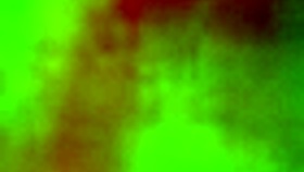 Latina sensualizes and sucks monster cock.