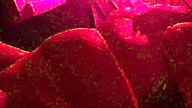 Latina sensualizes and sucks monster cock.