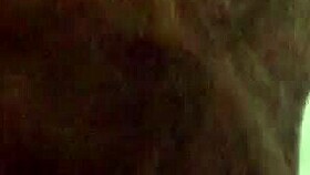 Sucking cock in a detailed blowjob scene