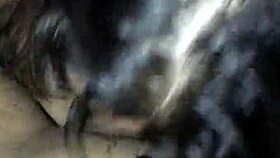 watch this nerd giving a cheating blowjob