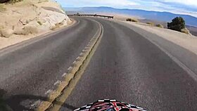 Blonde tattooed babe rides monster cock. In xxx.