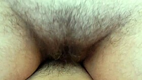 Hairy Mature Riding Beaver
