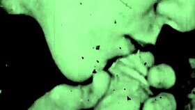 Dark Lantern Entertainment Presents Two Centuries of Vintage Porn with Blowjob and Fucking