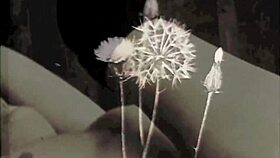 Dark Lantern Entertainment Presents The Sins Of Our Ancestors From My Secret Life The Erotic Confessions Of A Victorian English Gentleman