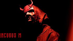 Watch Incubus M's Intense Masturbation In Cosplay Costumes!