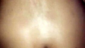 perla negra e o lutador de mma allan guerra gomes