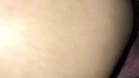 perla negra e o lutador de mma allan guerra gomes